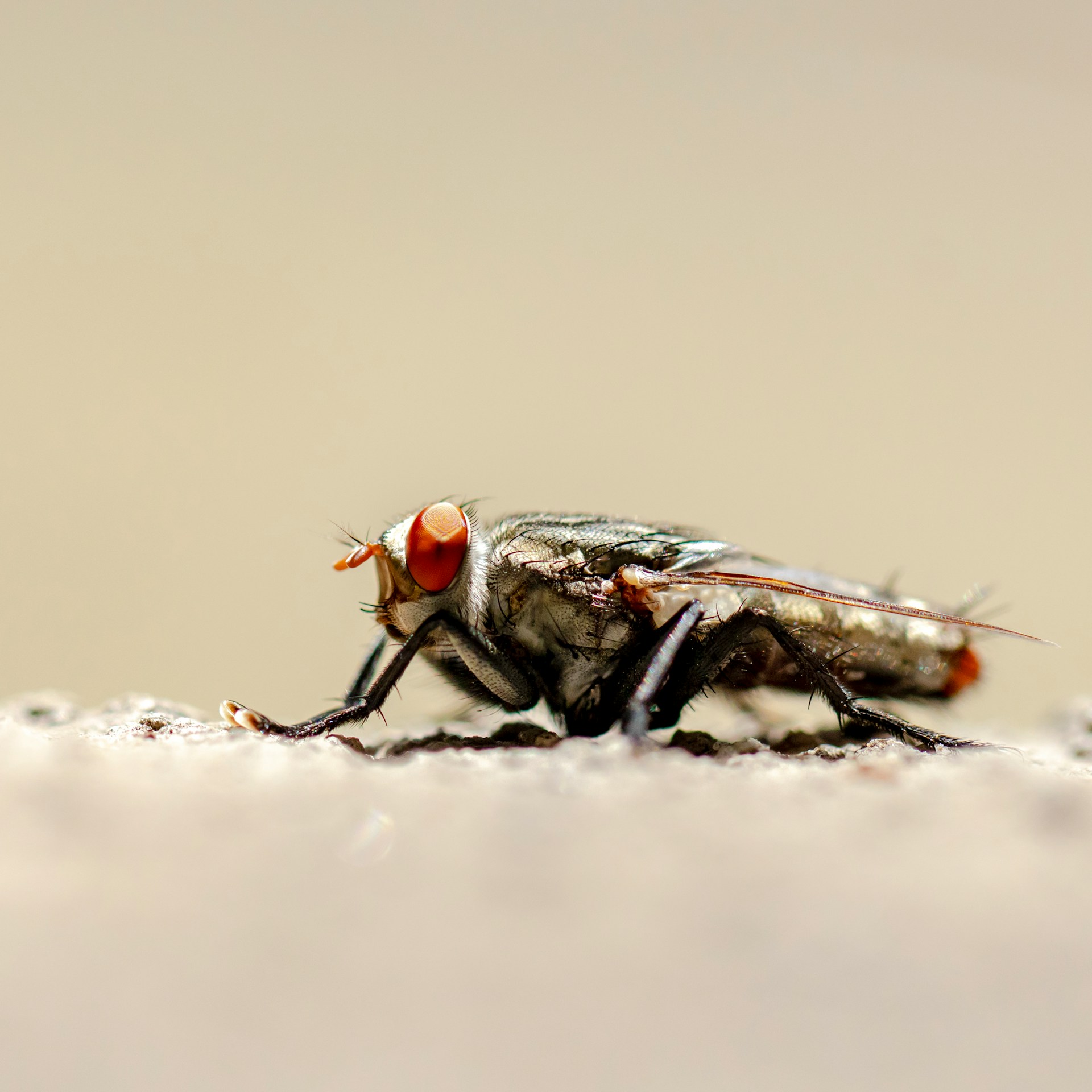 vd-photography-9cQYcmcK9Oo-unsplash